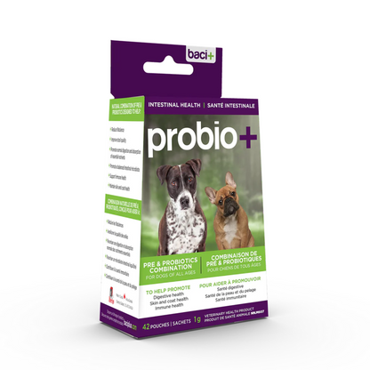 BACI+ | Probio+ chien