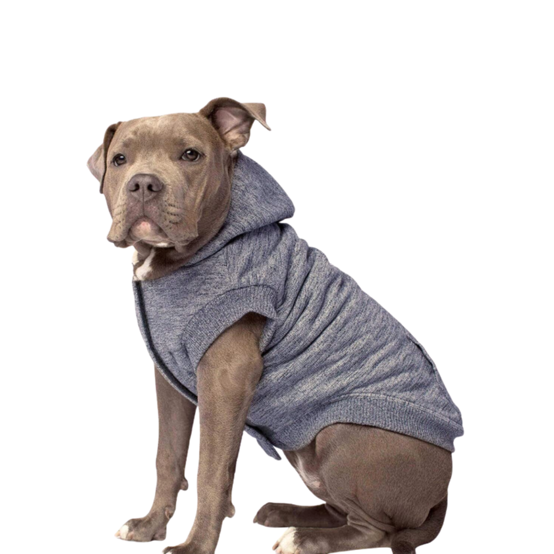 CANADA POOCH | Cozy caribou grey M