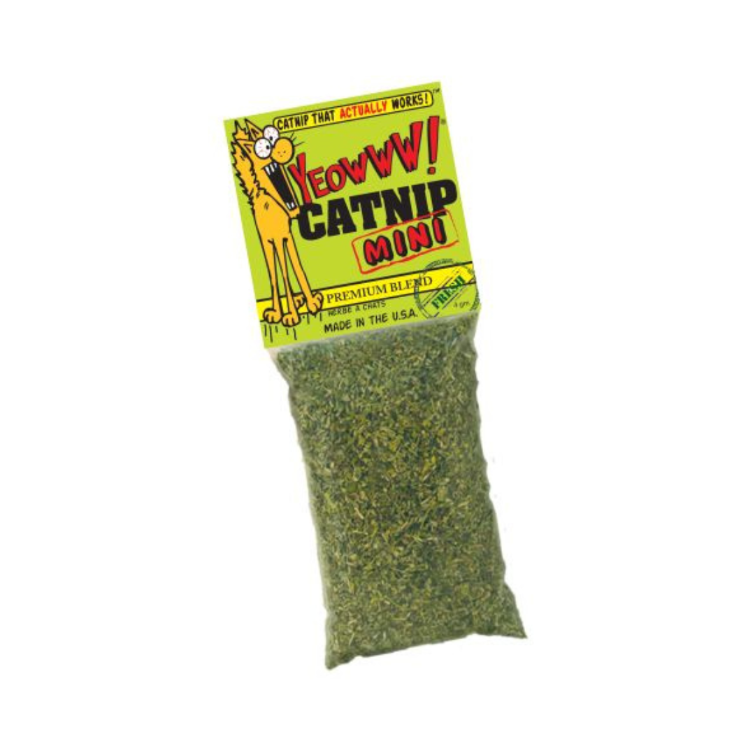 DUCKY WORLD | Sachet d'herbe à chat 4g