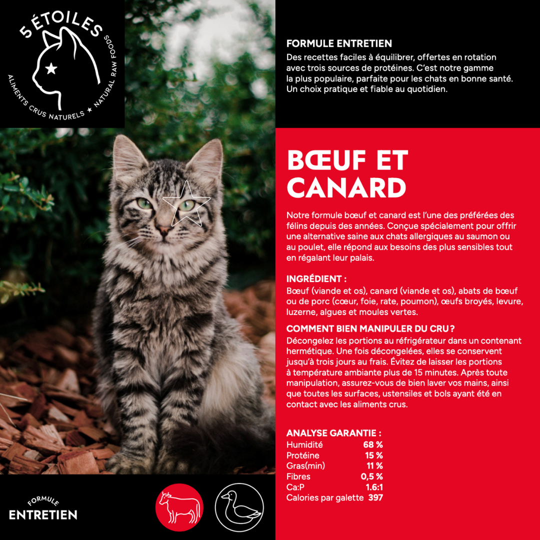 5 ÉTOILES | Chat Boeuf et canard