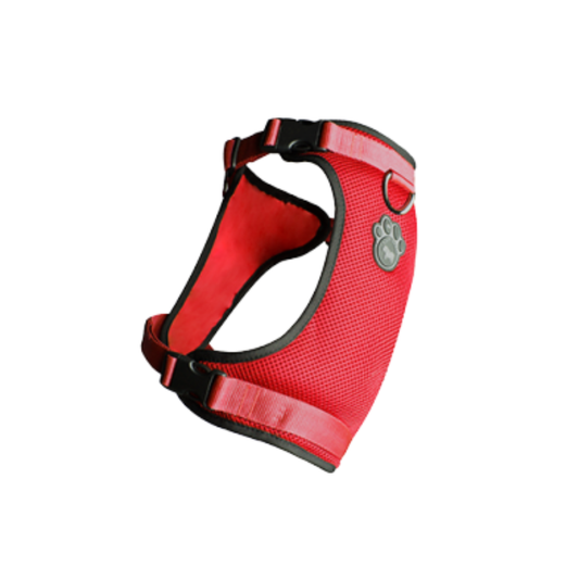 CANADA POOCH | Everything harness