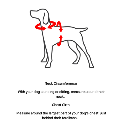 CANADA POOCH | Everything harness