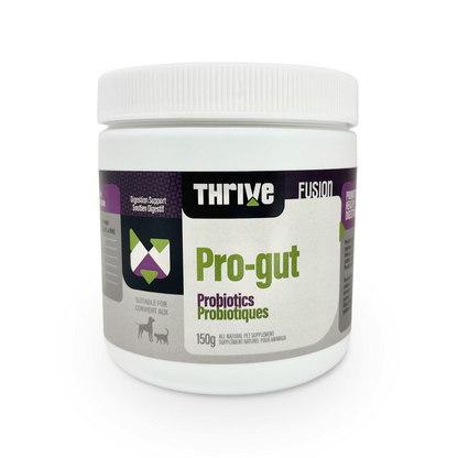 THRIVE | Pro-Gut probiotiques 150g