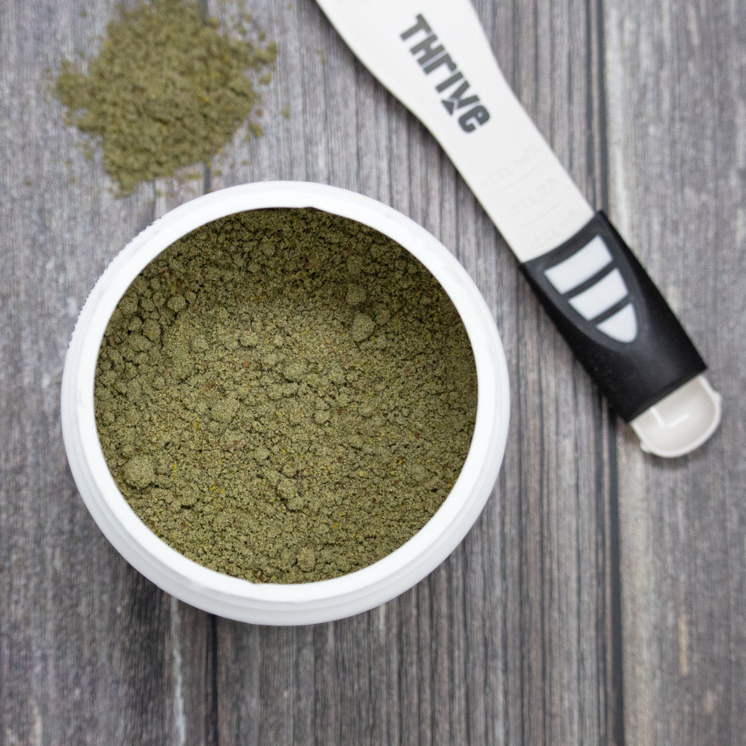 THRIVE | Pro-Gut probiotiques 150g