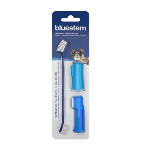 BLUESTEM | Ensemble de brosses à dents (3 morceaux)