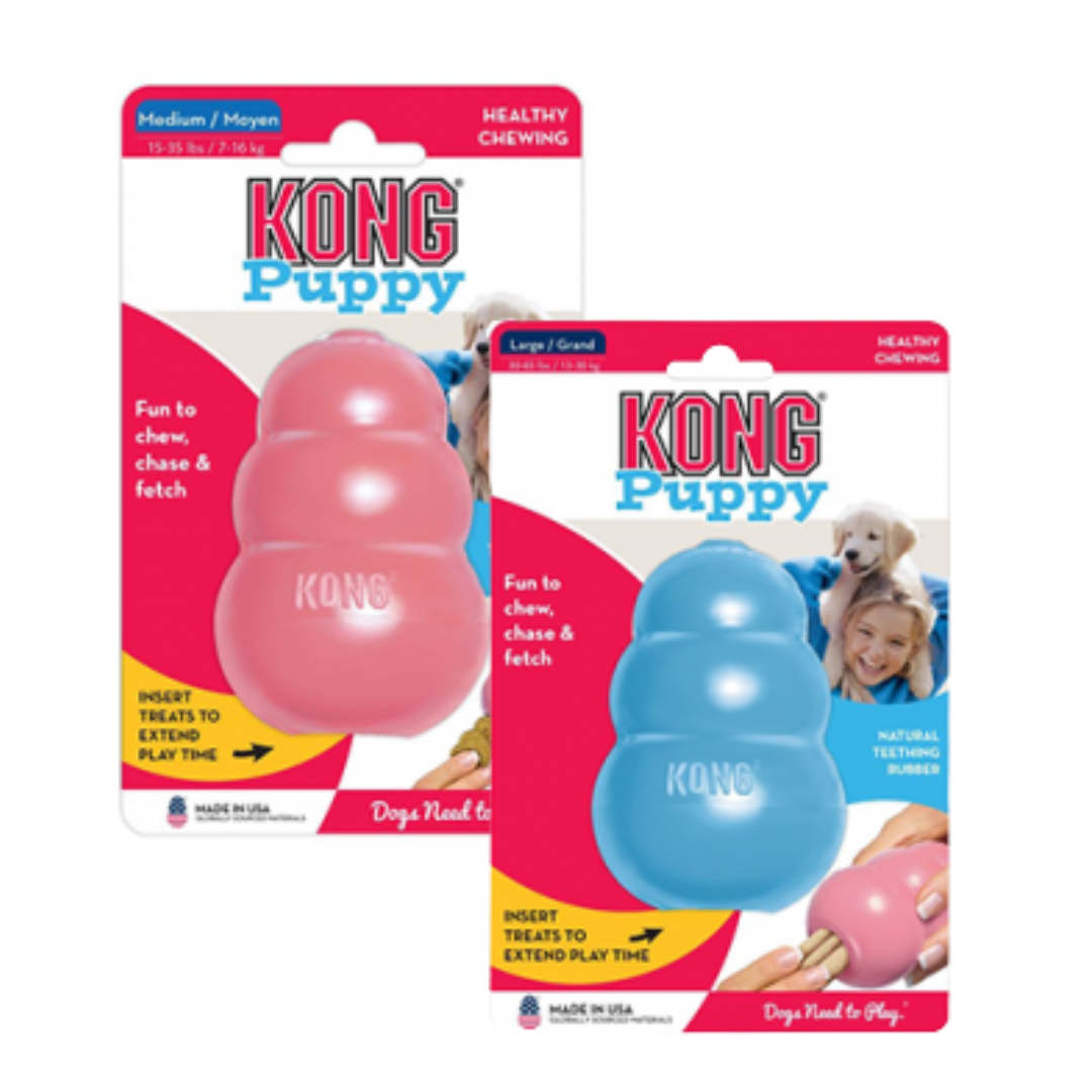 KONG | Chiot