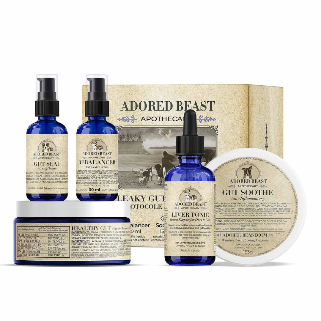 ADORED BEAST | Protocole Leaky Gut pour chien
