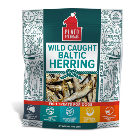 PLATO | Harengs sauvages 3 oz