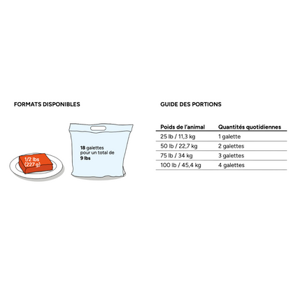 5 ÉTOILES | Saumon 9lbs
