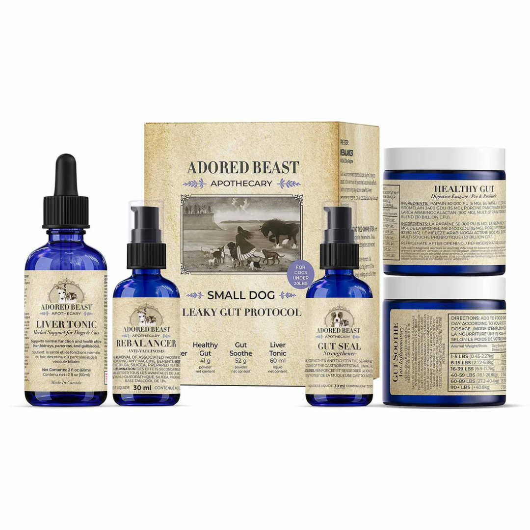 ADORED BEAST | Protocole Leaky Gut pour petit chien