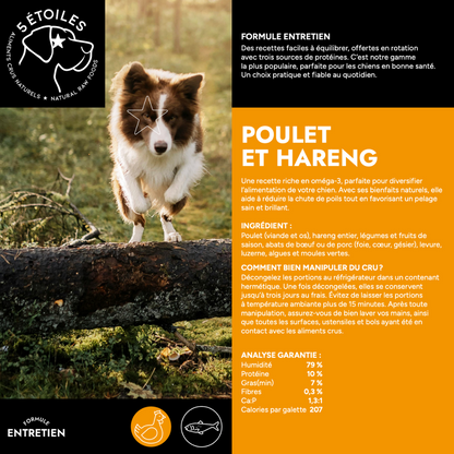 5 ÉTOILES | Poulet et hareng 10lbs