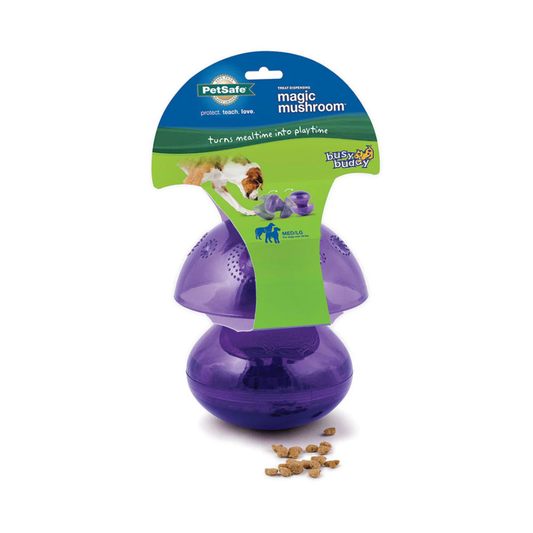 PETSAFE | Busy buddy magic mushroom medium