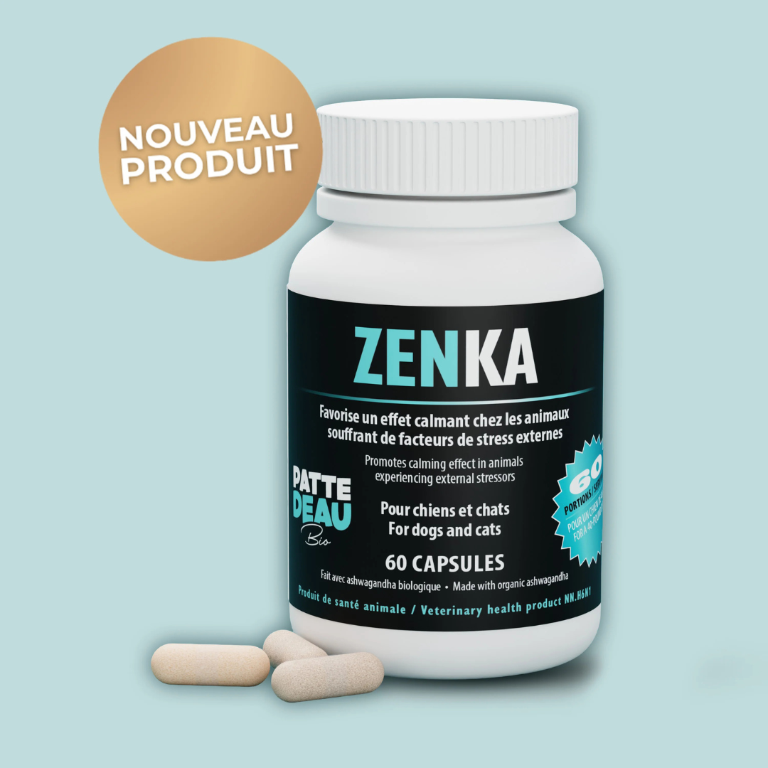 PATTEDEAU BIO | Zenka