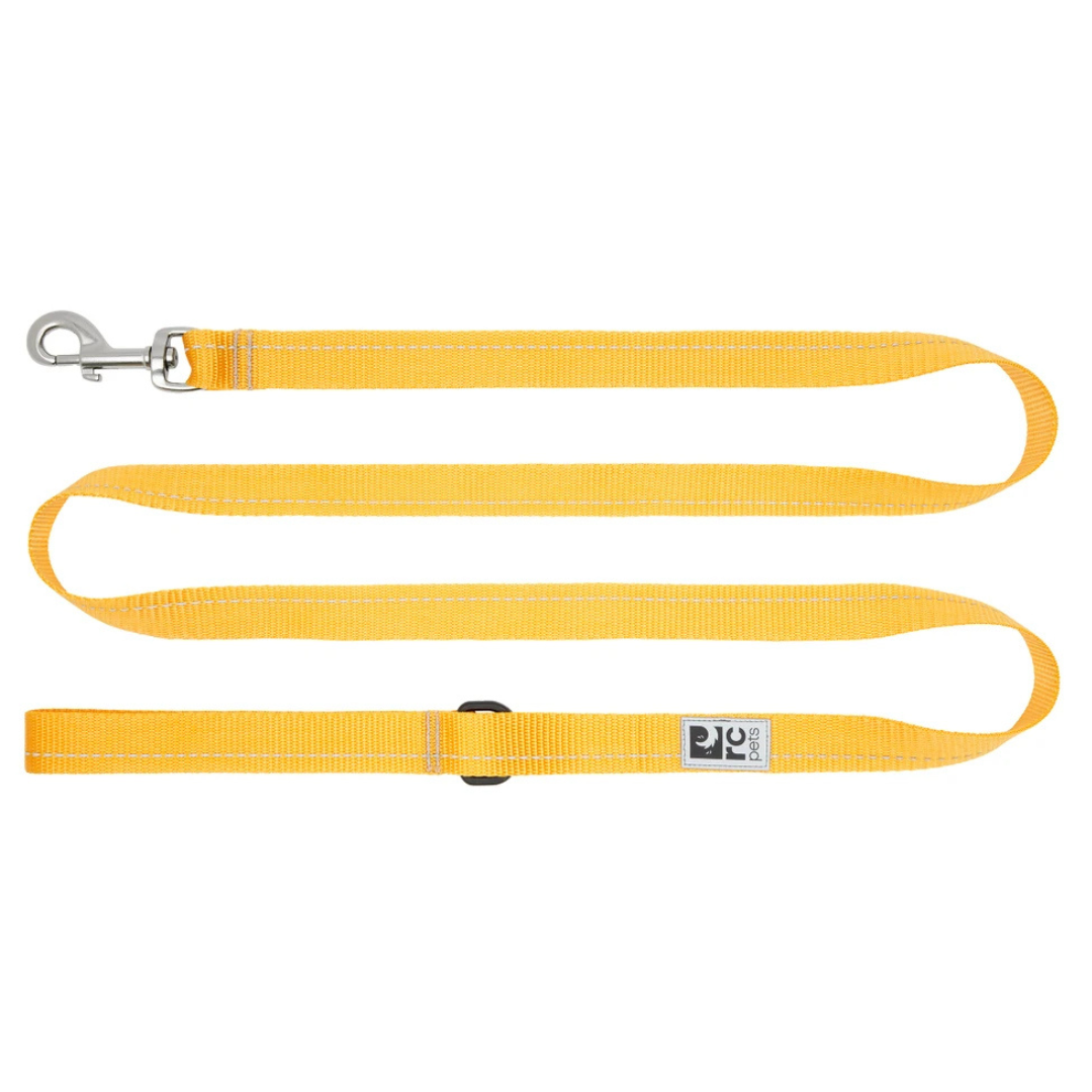 RC PETS | Laisse de base