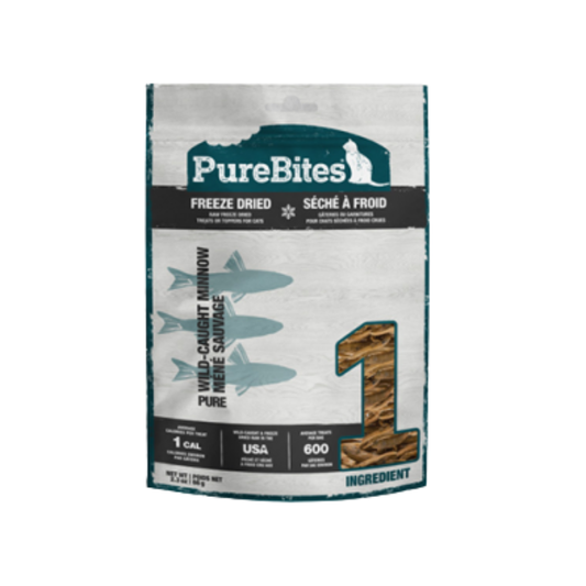 PUREBITES | Chat, ménés sauvages
