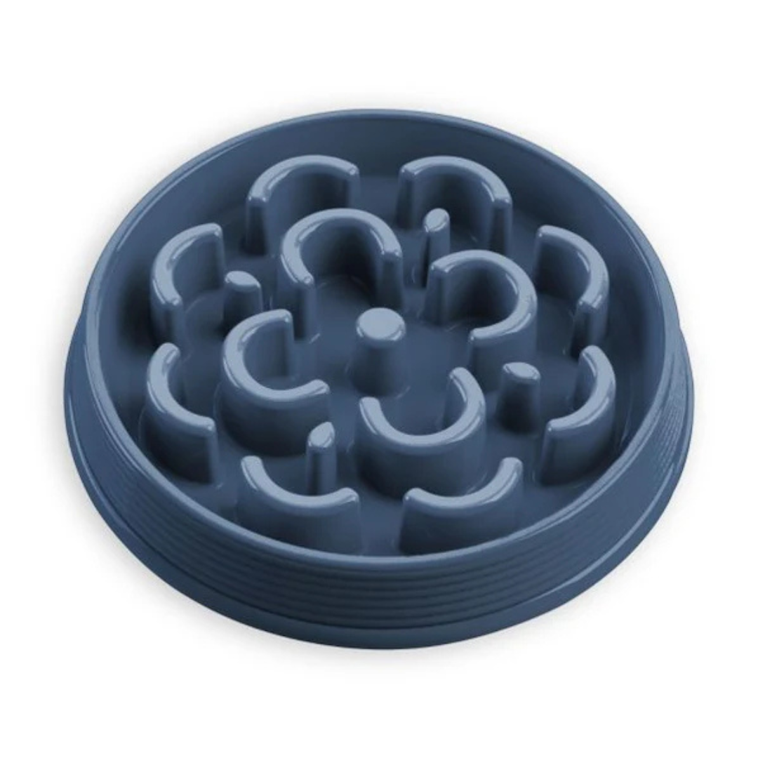 TARHONG | Slow chow medaillon feeder bleu m