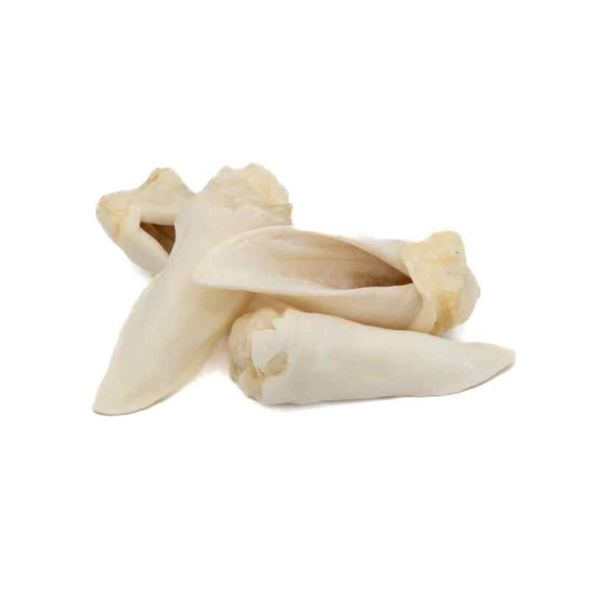 FUREVER PURE | Oreilles d'agneau soufflées (sac de 10)