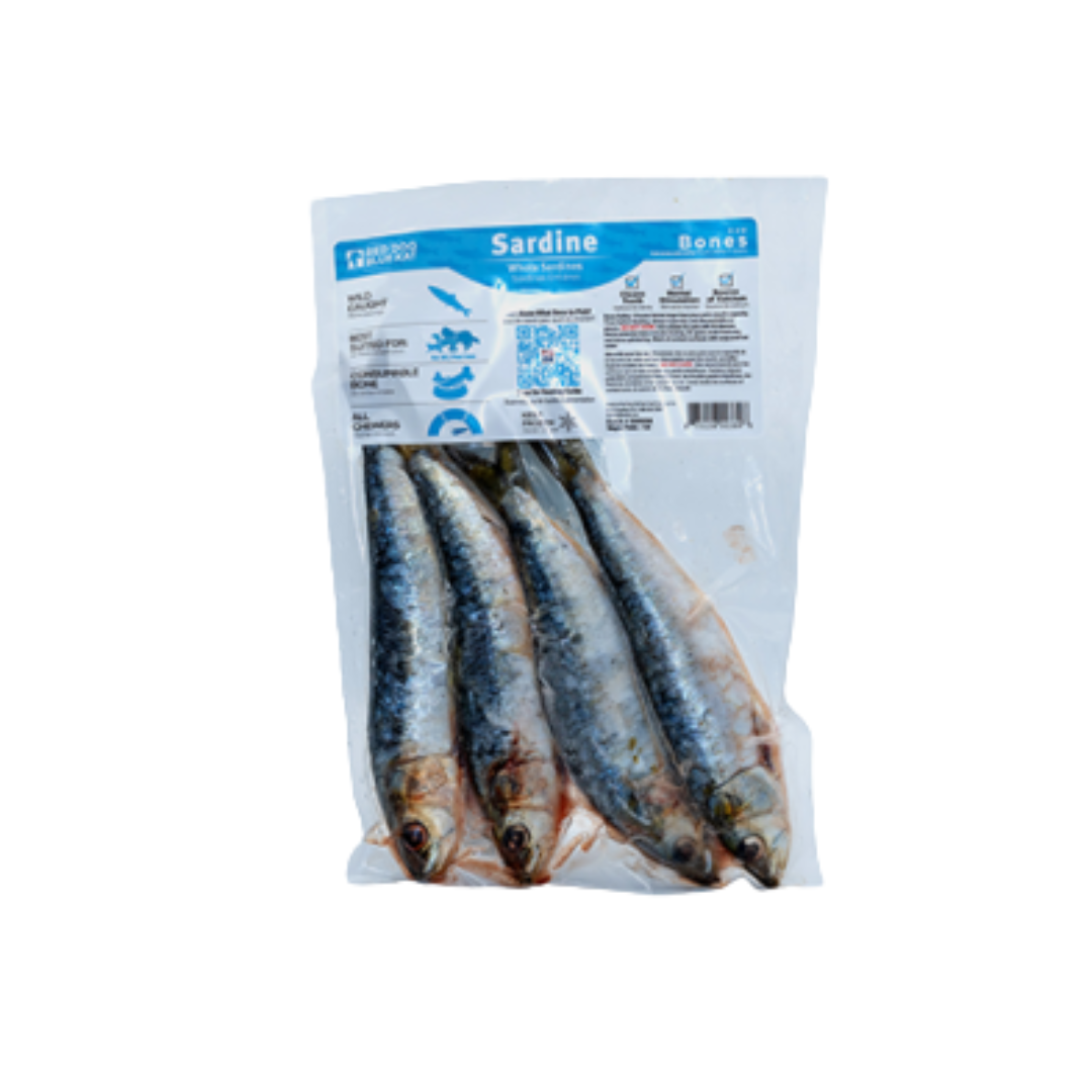 Red Dog Blue Kat | Sardines