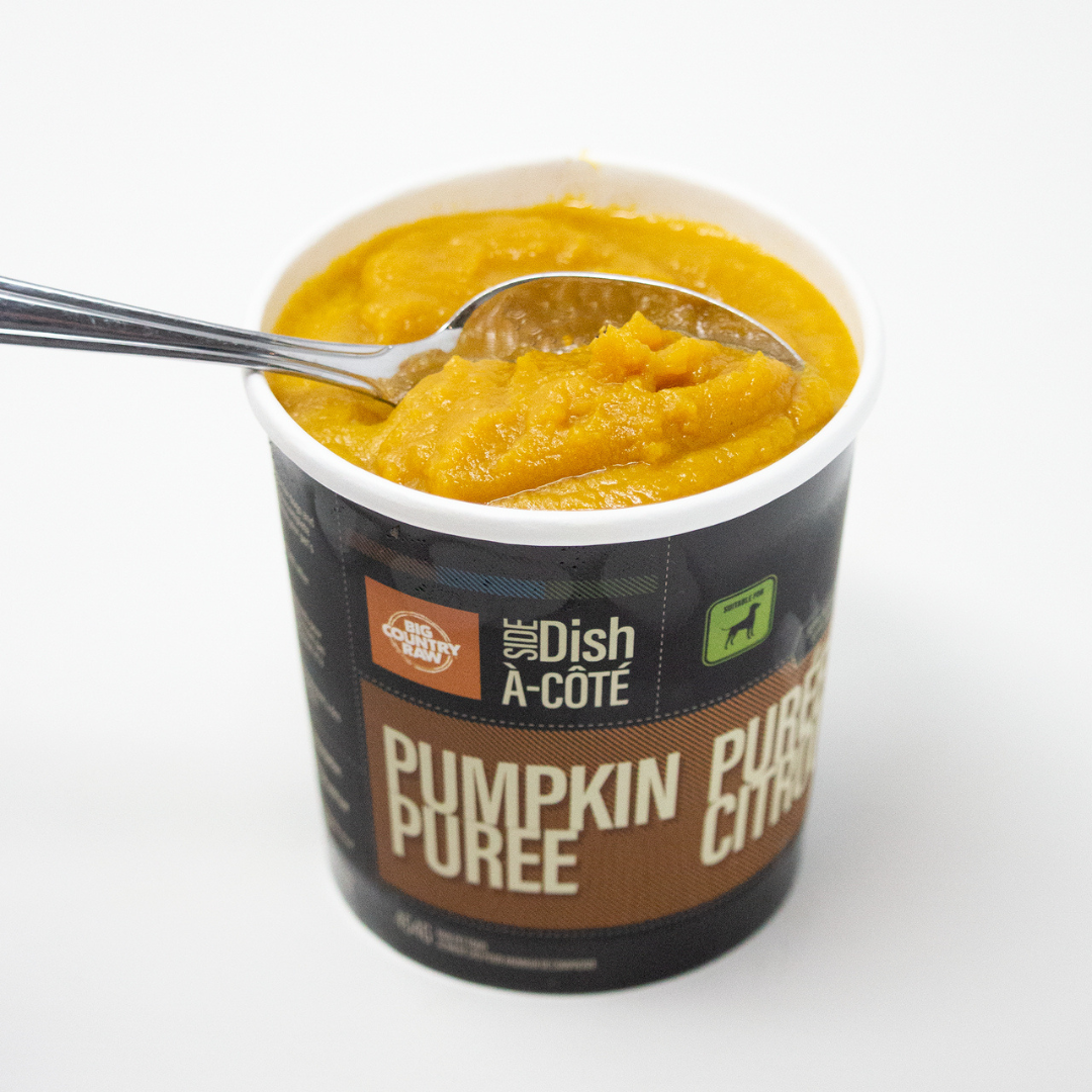 BIG COUNTRY RAW | Purée de citrouille biologique - 1lb