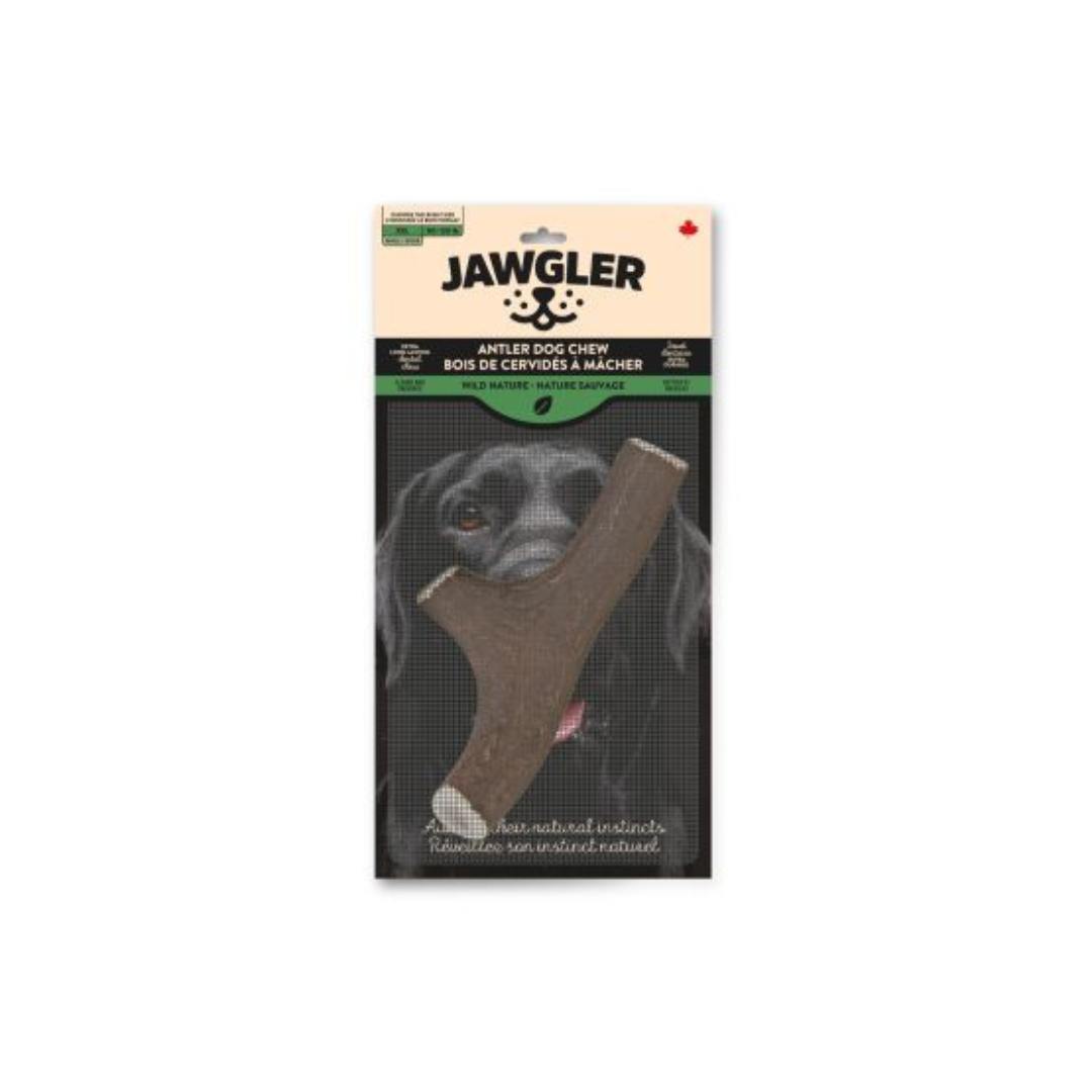 JAWGLER | Bois de cervidé entier nature