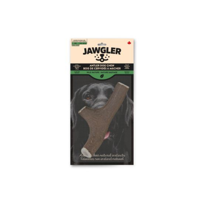 JAWGLER | Bois de cervidé entier nature