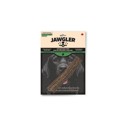 JAWGLER | Bois de cervidé entier nature