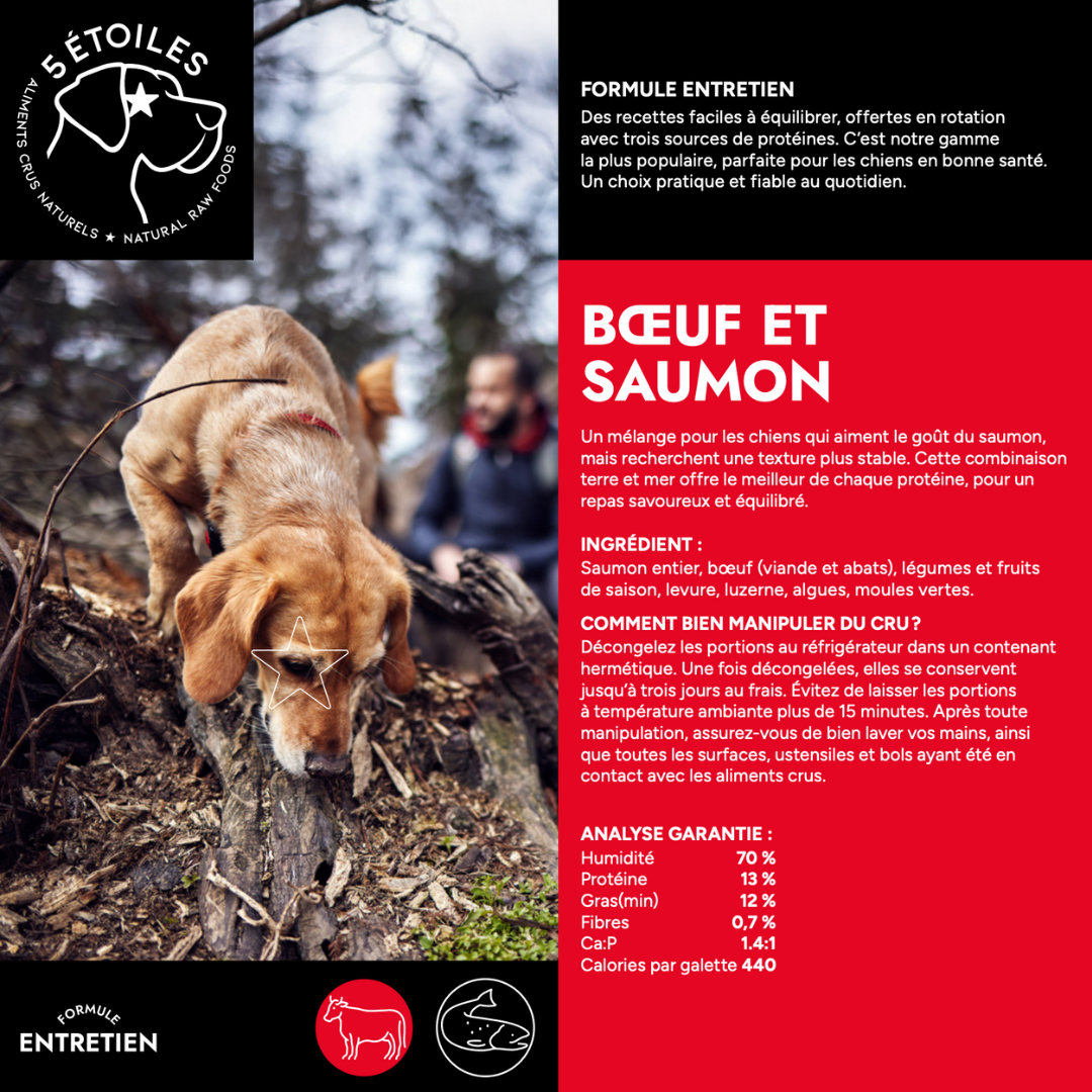 5 ÉTOILES | Boeuf et saumon 10lbs
