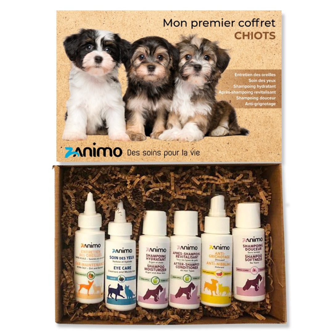 ZANIMO | Coffret Chiot