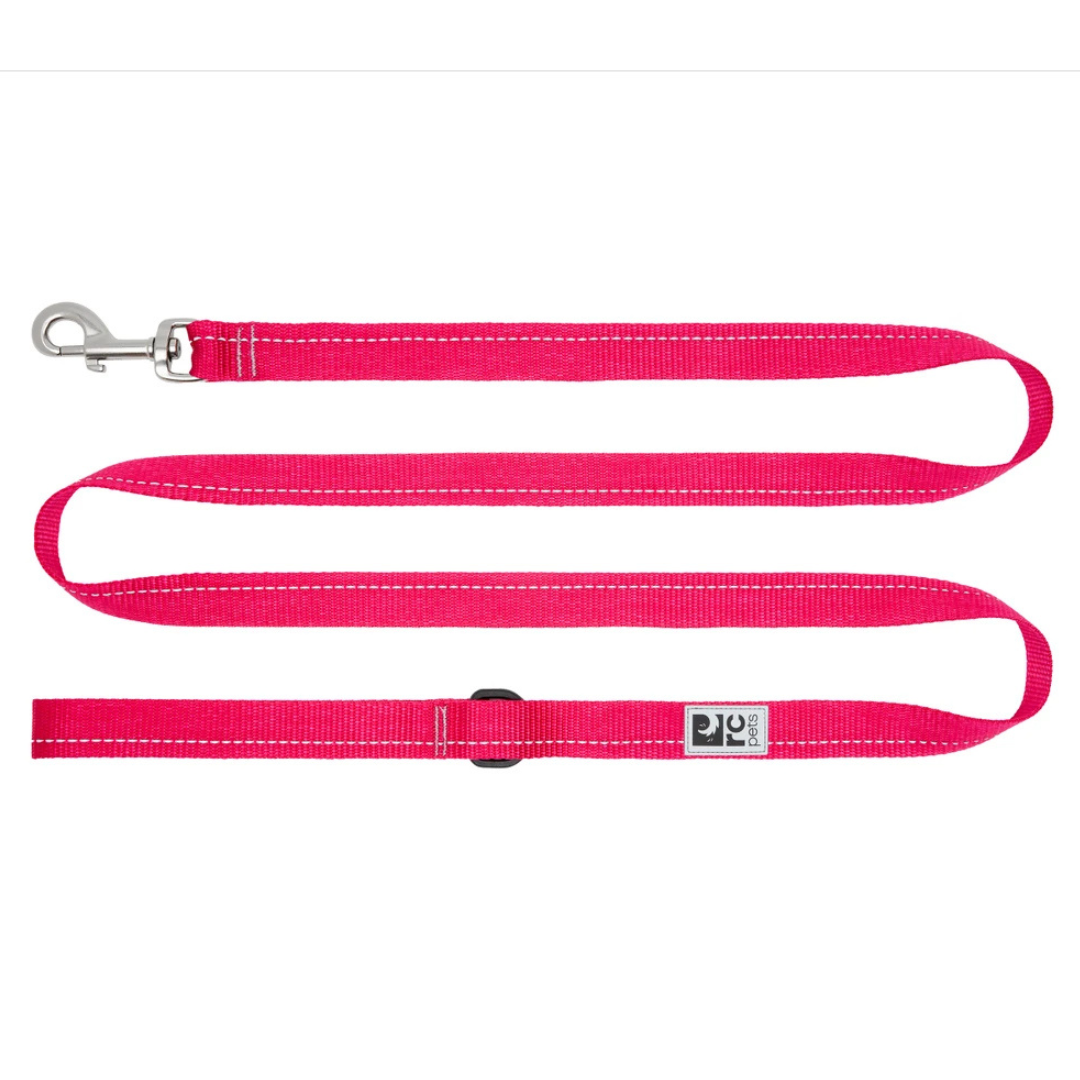 RC PETS | Laisse de base