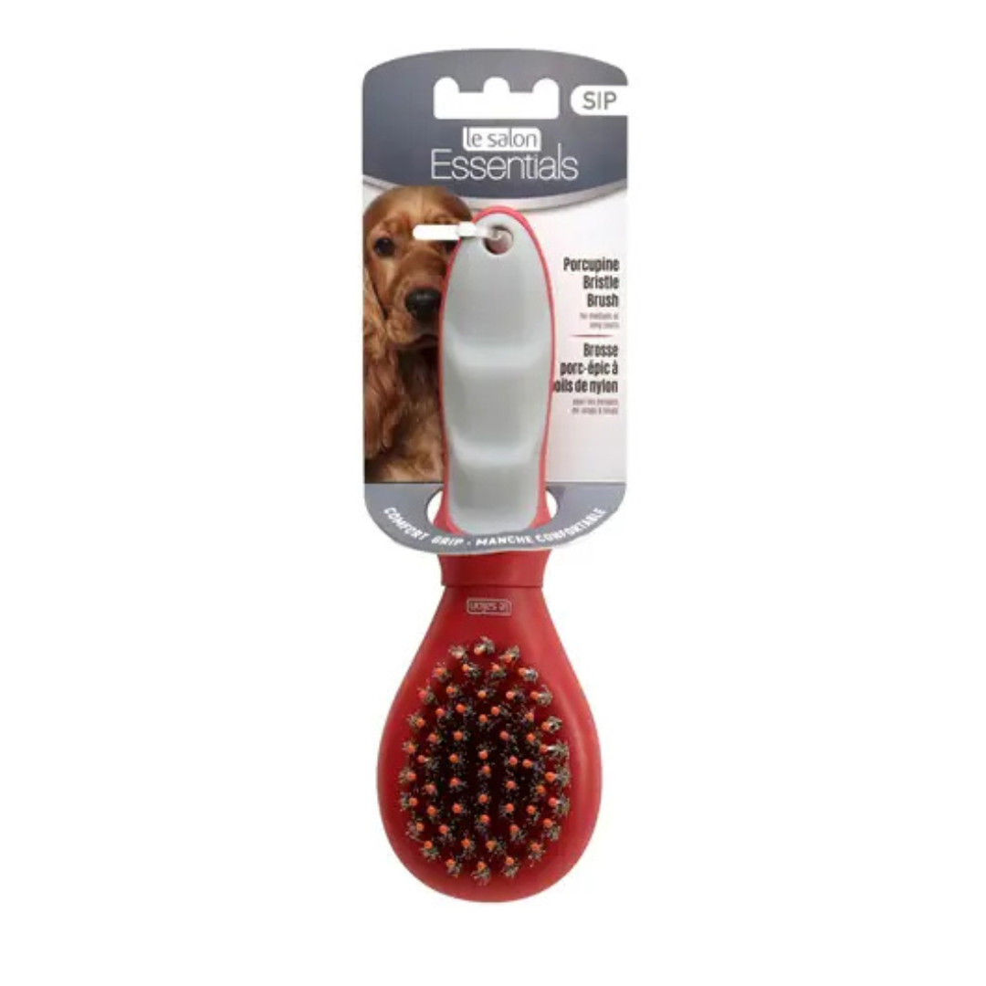 LE SALON | Petite brosse porc-épic pour chiens