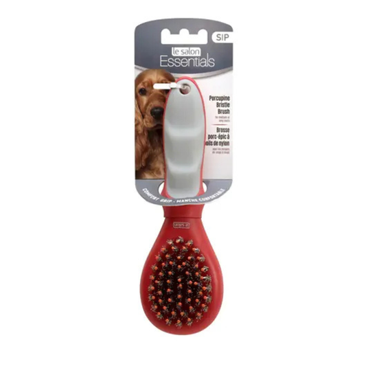 LE SALON | Petite brosse porc-épic pour chiens