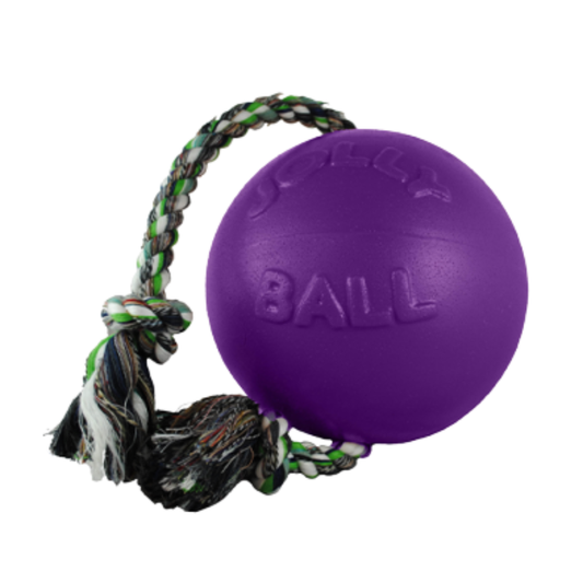 JOLLY PET | Romp-N-Roll ball