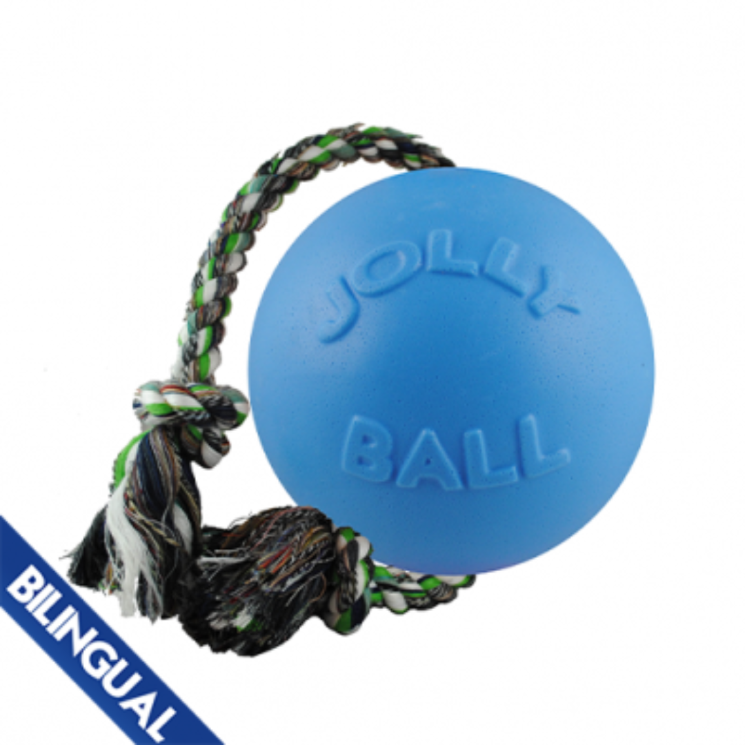 JOLLY PET | Romp-N-Roll ball