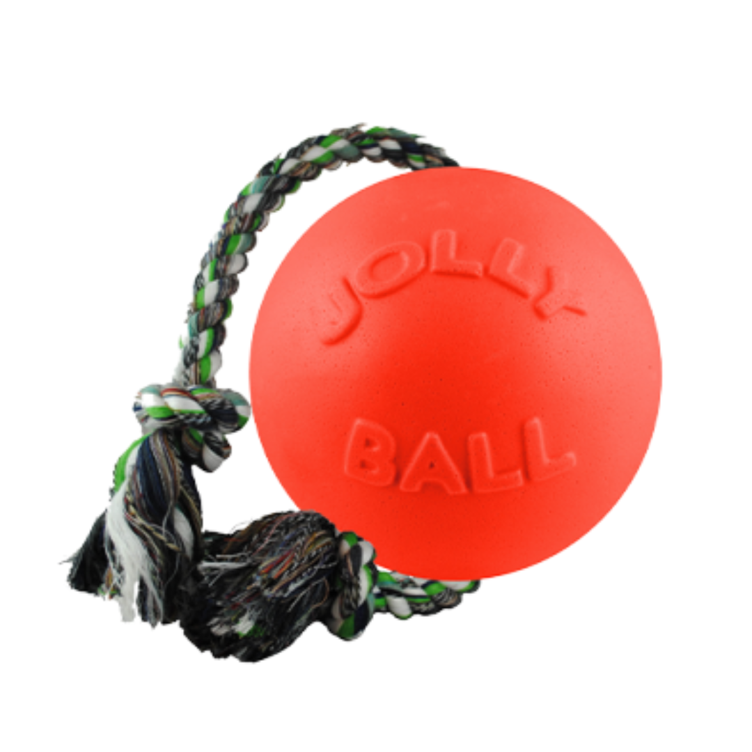 JOLLY PET | Romp-N-Roll ball