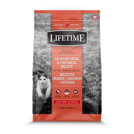 LIFETIME | Chat Recette saumon et avoine