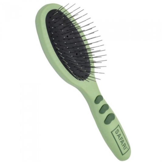 SAFARI | Brosse en acier