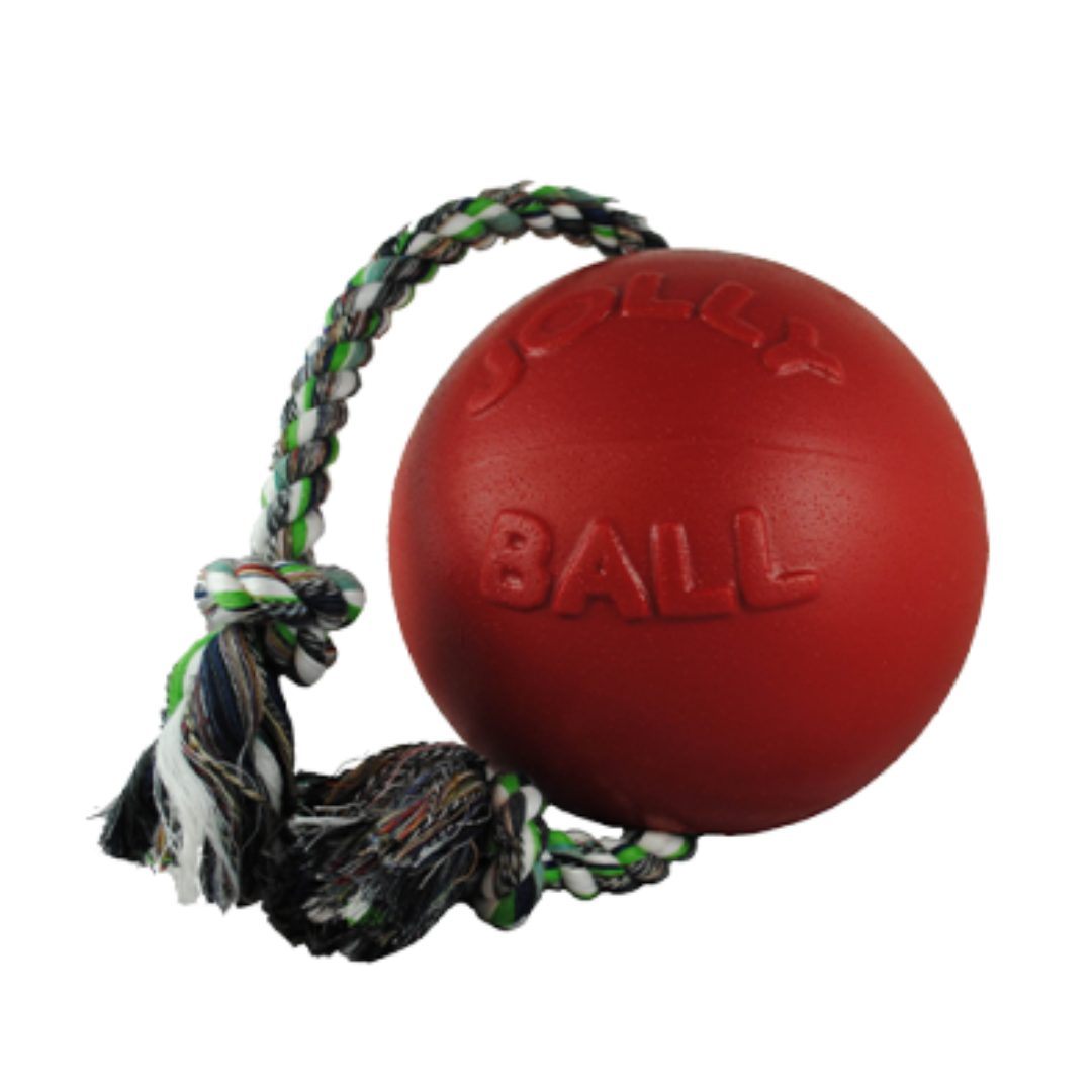 JOLLY PET | Romp-N-Roll ball