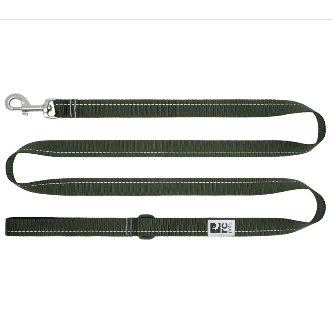 RC PETS | Laisse de base