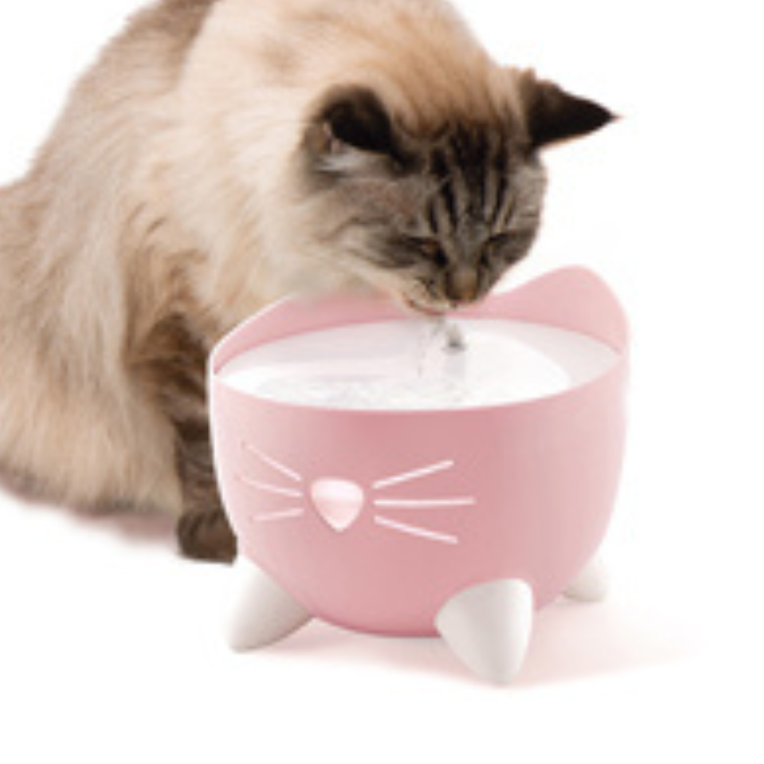 CATIT | Abreuvoir pixi rose