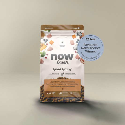 NOW FRESH | Good Gravy au poulet