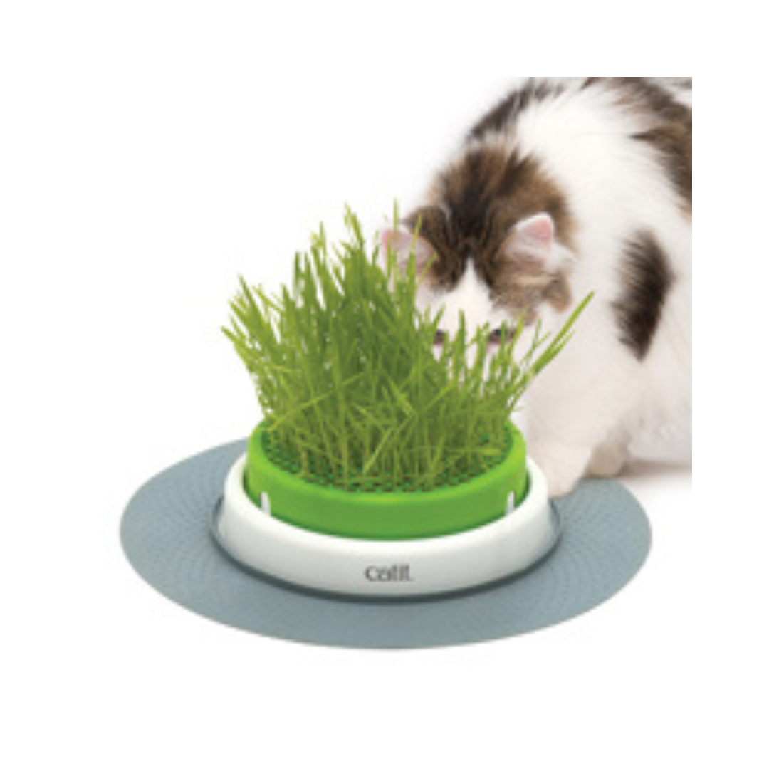 CATIT | Jardinière d'herbe Senses 2.0