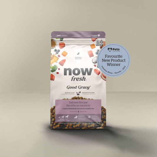 NOW FRESH | Good Gravy au saumon