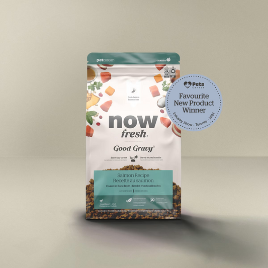 NOW FRESH | Good Gravy au saumon, petite race