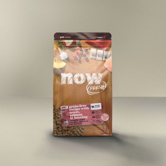 NOW FRESH | Truite, saumon et hareng, adulte