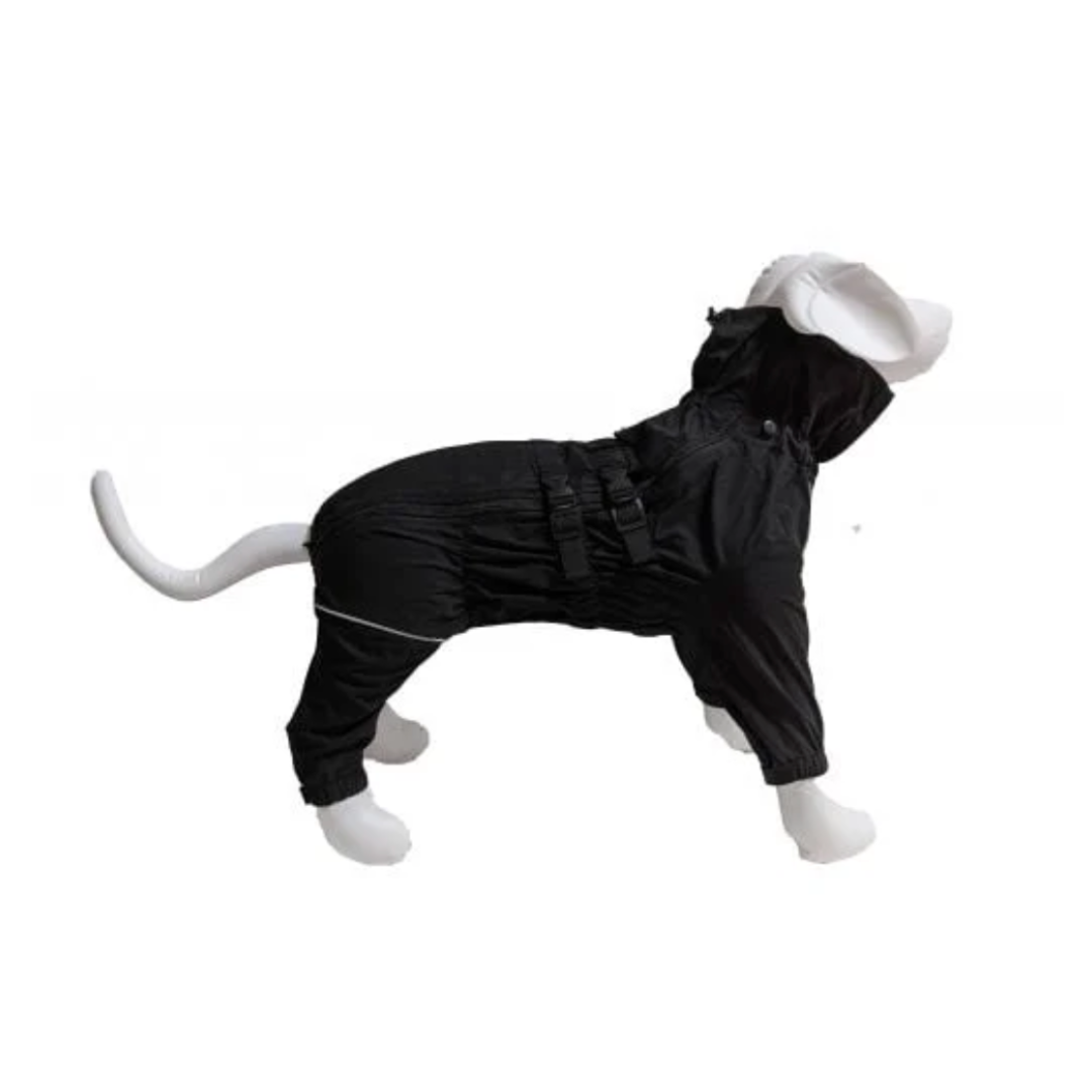 LE CHIEN BLANC | Manteau Brave