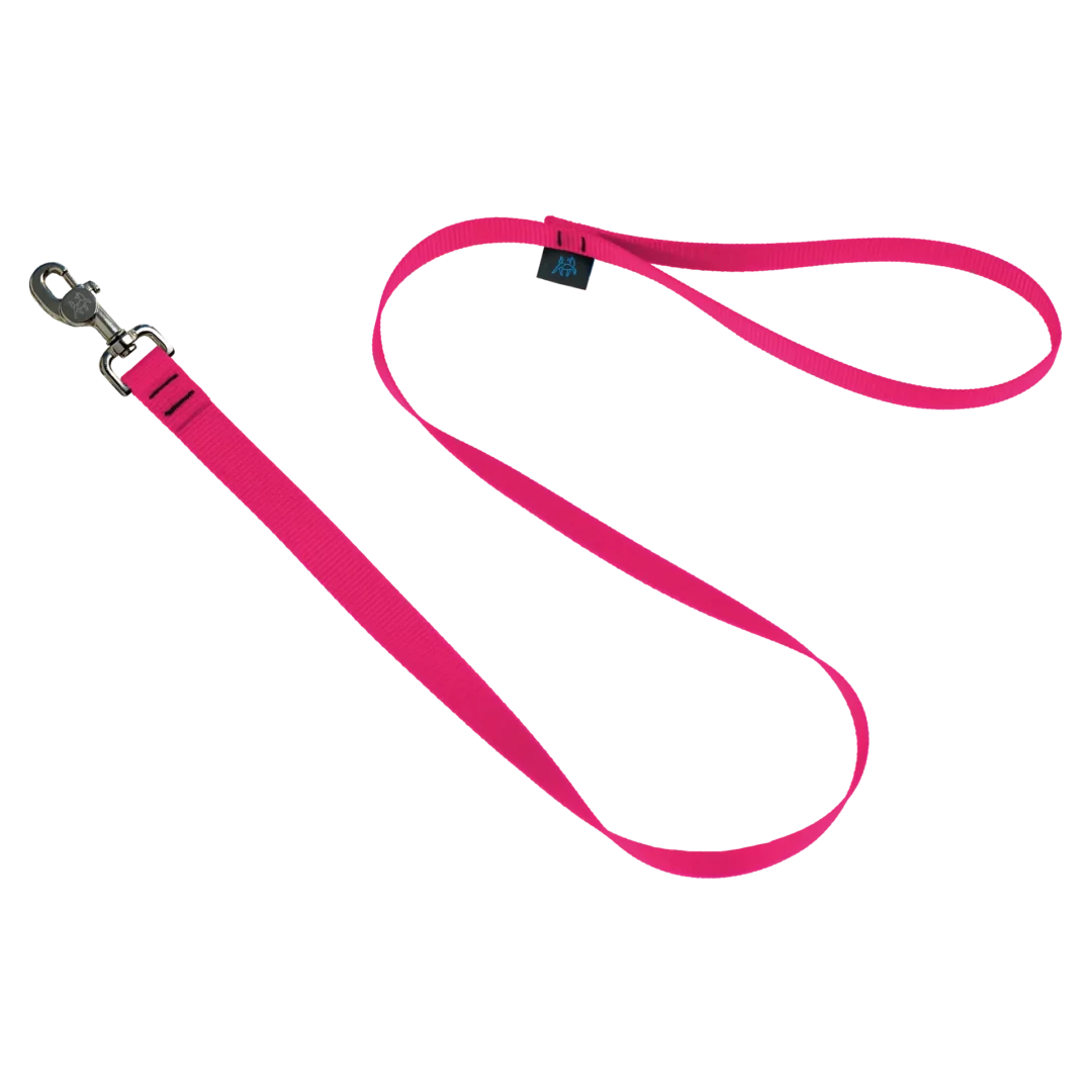 NAHAK | Laisse pour petits chiens