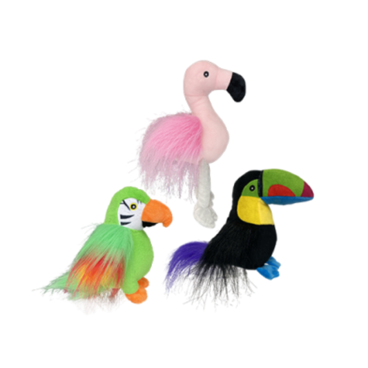 MULTIPET | Margaritaville oiseau