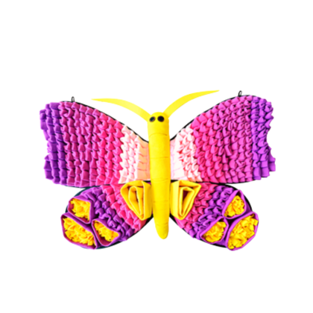 PAWZNDOGZ | Papillon radieux 34"