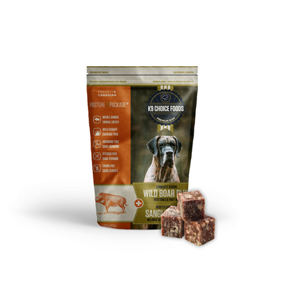 K9 CHOICE | Sanglier plus