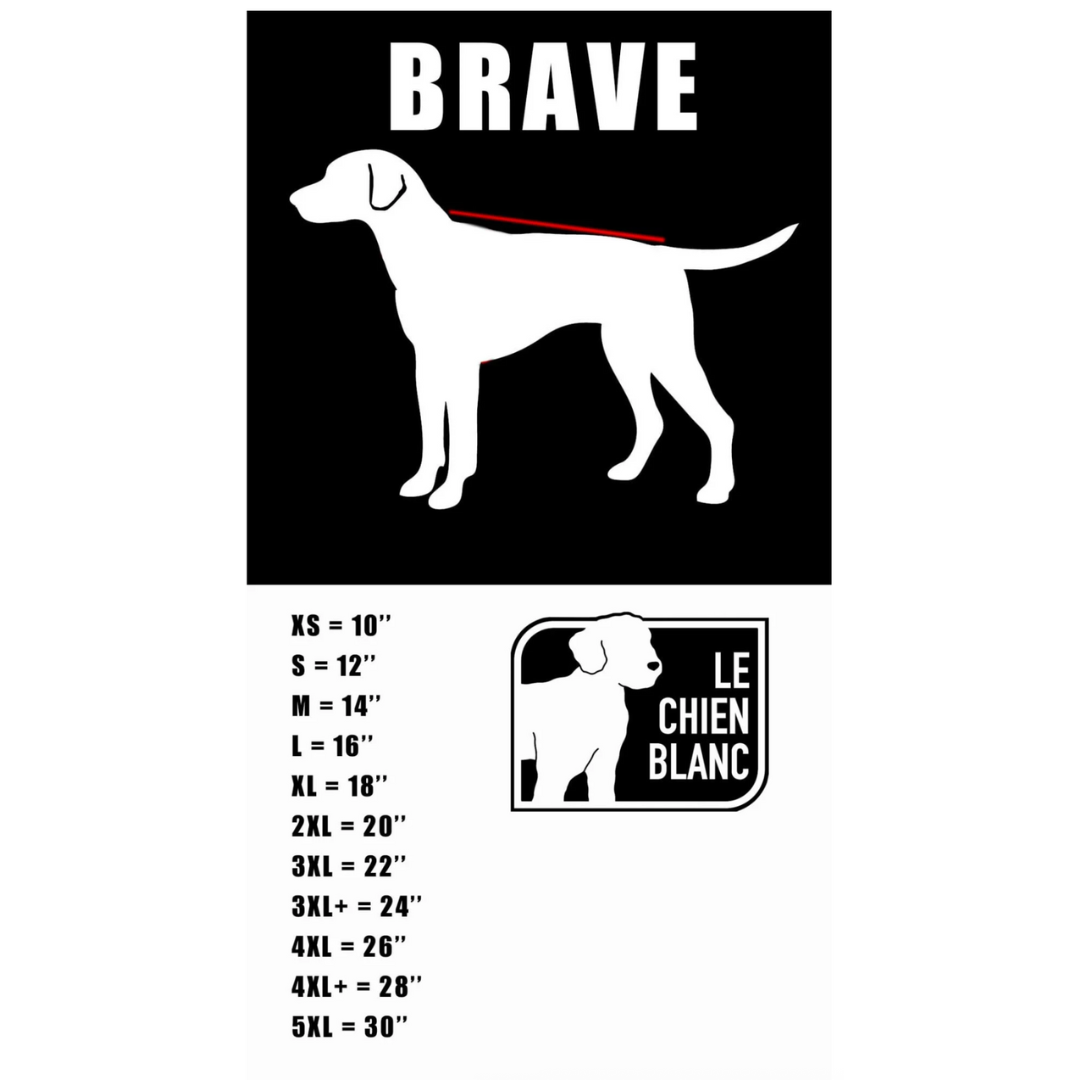 LE CHIEN BLANC | Manteau Orion